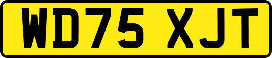 WD75XJT