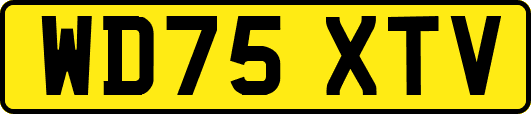 WD75XTV
