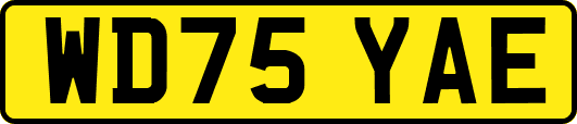 WD75YAE