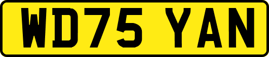 WD75YAN