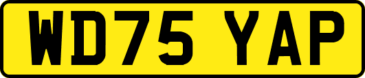 WD75YAP