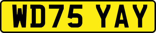 WD75YAY