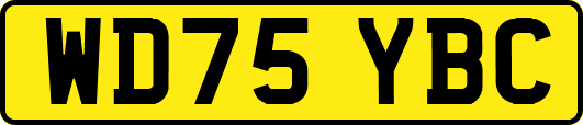 WD75YBC