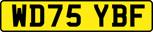 WD75YBF