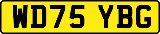 WD75YBG