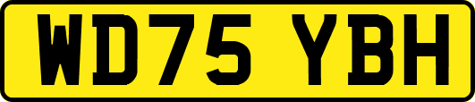 WD75YBH