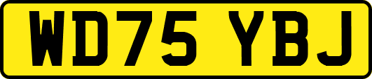 WD75YBJ