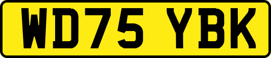 WD75YBK
