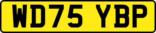 WD75YBP