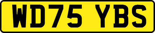 WD75YBS