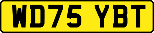 WD75YBT