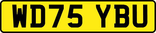 WD75YBU