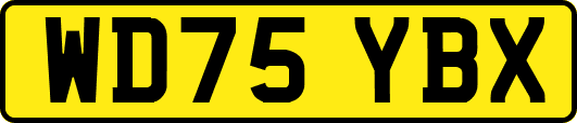 WD75YBX