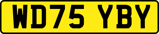 WD75YBY
