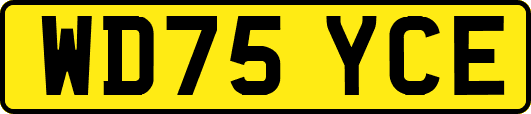 WD75YCE