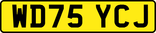 WD75YCJ