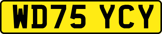 WD75YCY