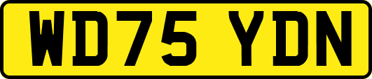 WD75YDN