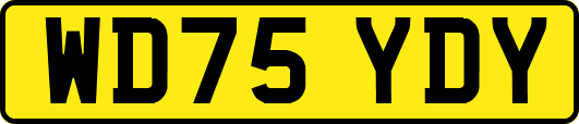 WD75YDY