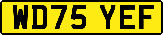 WD75YEF