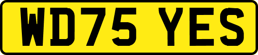 WD75YES