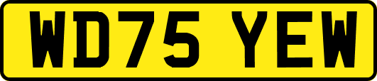 WD75YEW