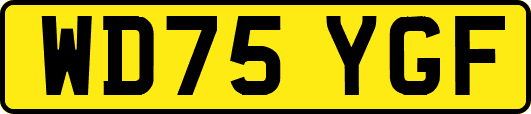 WD75YGF