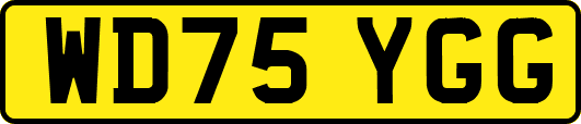 WD75YGG
