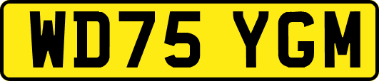 WD75YGM