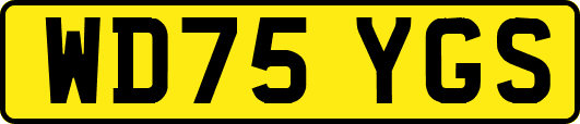 WD75YGS