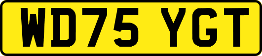WD75YGT