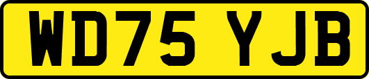 WD75YJB