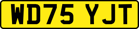 WD75YJT