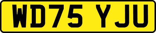WD75YJU