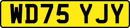 WD75YJY