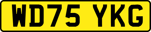 WD75YKG