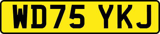 WD75YKJ