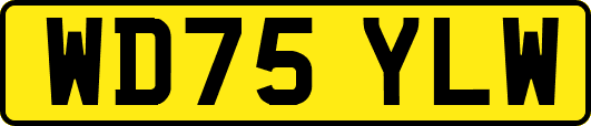 WD75YLW
