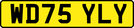 WD75YLY