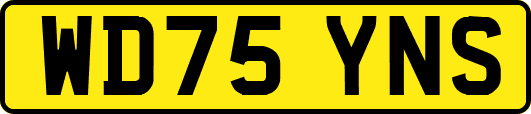 WD75YNS