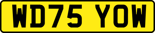 WD75YOW