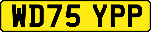 WD75YPP