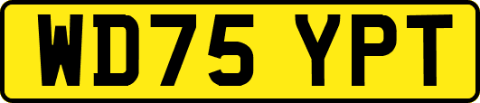 WD75YPT