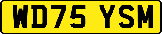 WD75YSM