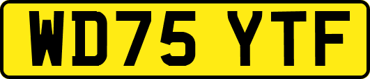 WD75YTF