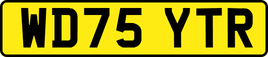 WD75YTR