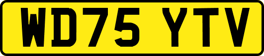 WD75YTV