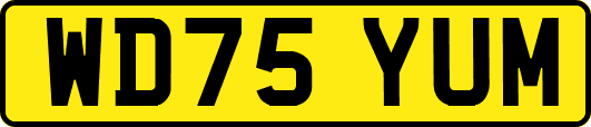 WD75YUM