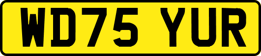 WD75YUR