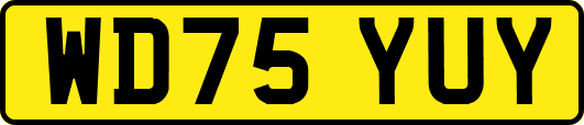 WD75YUY